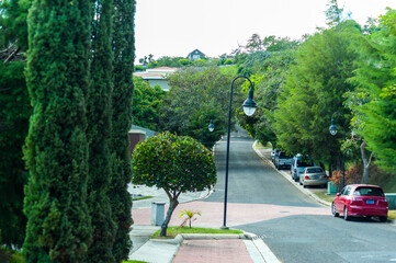 Tree-lined residential street in San Salvador, El Salvador