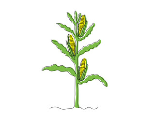Abstract corn bush in the garden,on the farm,agriculture,cottage. continuous single one line art drawing sketch, logo