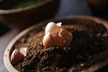 A close up of eggshells in a wooden bowl filled with soil and compost for gardening purposes