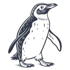 Cute Penguin Walking