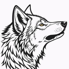 Fototapeta premium Howling Wolf Head Sketch