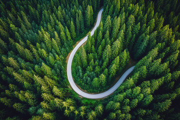 Aerial View of Winding Road Through Dense Green Forest