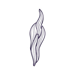Hand-drawn seaweed leaves in doodle style, a single isolated linear element