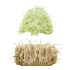 Haystack pile and grass clippings stack watercolor illustration set isolated on white. Village farm nature landscape design elements for feeding or caring for livestock animals. Agriculture clip art