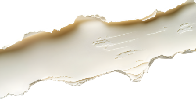 Intriguing Textured Layer of Torn Paper Creating Unique Abstract Visual in Neutral Tones