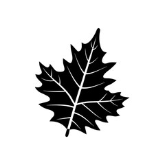 Fototapeta premium unique Neem leaf silhouette illustration isolated on white background