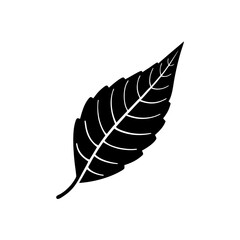 unique Neem leaf silhouette illustration isolated on white background