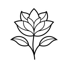 Floral Outline Drawing Flower Line Art Design