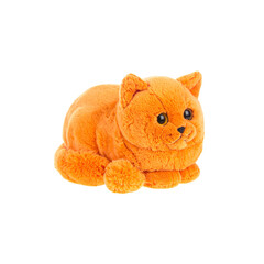 Orange kitten isolated on white, with a soft brown teddy bear