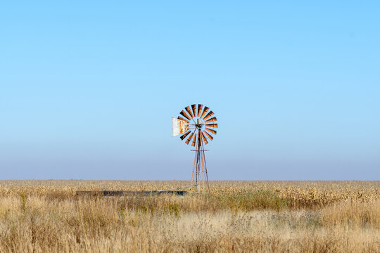 Rusted windmill and dam in maize field ready for harvest
