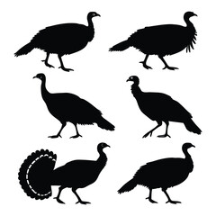 Obraz premium Collection of Black Turkey Shapes and Icons