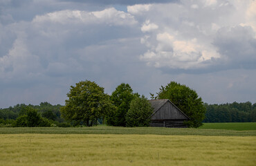 A rural landscape, with an old cottage among the fields on the edge of the forest.