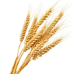Golden Wheat Stalks Harvest Bounty Nature Agriculture Food, isolated on a transparent background