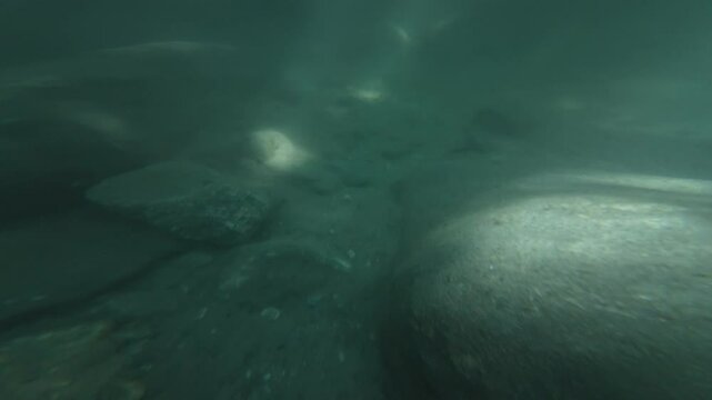 Underwater River Swimming POV Slow Motion x2 Filmed at 60fps