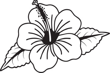 Exquisite Hibiscus Bloom: a minimalist illustration of a single hibiscus flower showcases the bloom's elegant lines and intricate details.