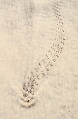 Sand Patterns on a beach, Pattern and texture of soft beach sand surface