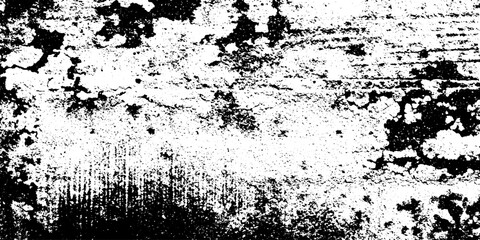 Fototapeta premium Weathered tombstone surface with lichen growth and organic blotches for artistic texture background