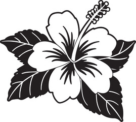 Hibiscus Blossom in Black and White: A stunning monochromatic display of a hibiscus flower, its intricate petals and lush leaves elegantly arranged, capturing nature's delicate beauty.