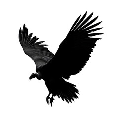 Fototapeta premium Silhouette of giant jungle bird with expanded wingspan mid-hover, isolated on transparent background