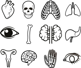 Anatomy Icons: A collection of stylized anatomical icons, each meticulously rendered in a clean, monochromatic palette, offers a glimpse into the intricacies of the human body.