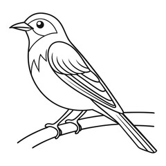 Line Art Bird Coloring Page White Background Simple Bird Illustration