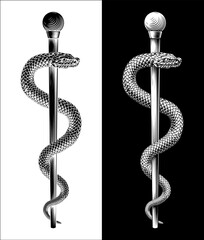 Rod of Asclepius staff medical symbol. Intertwined snake around a rod or wooden staff. Often mistakenly called a Caduceus. Doctor icon for medicine and health care. Vintage woodcut etching style.