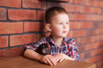 Little boy with his pet rat at wooden table indoors, selective focus