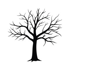 Bare Tree Silhouette