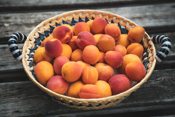 fresh harvest of apricots, picked at a summer day and placed in a basket
