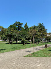 Sunny day in a green urban park with palm trees and walking paths