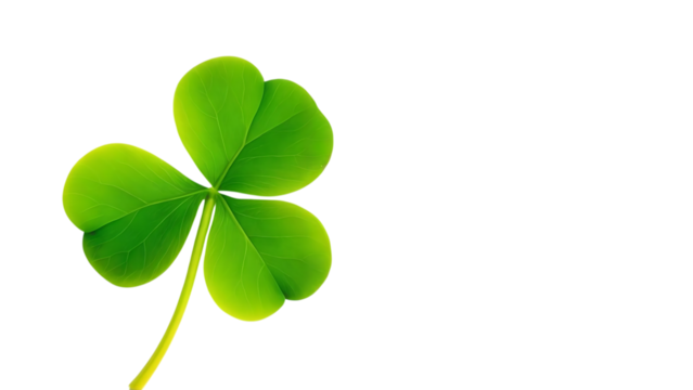 Vibrant green shamrock clover leaf isolated on a black background