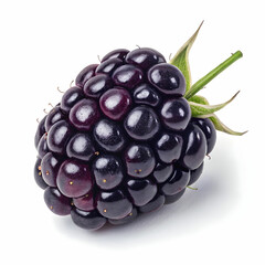 blackberry on white background