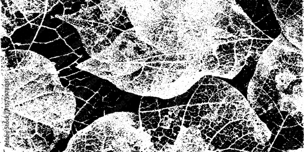 Poster intricate dry leaf skeleton overlay on soil texture for design background