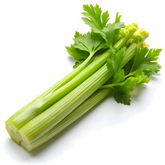 celery on white background