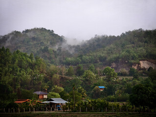 The egret flies past Umphang.