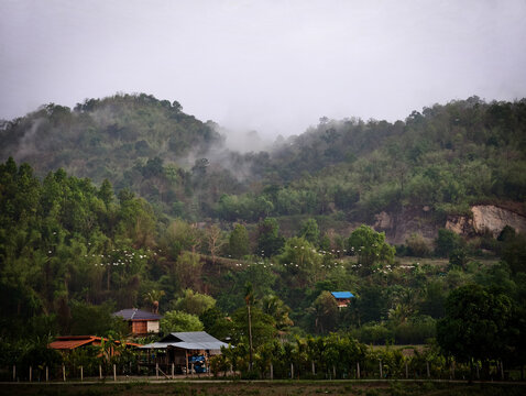The egret flies past Umphang.