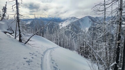 A snowy path winding through a winter landscape with mountains and trees under a cloudy sky view