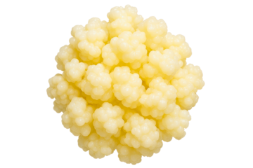 Milk kefir grains are a healthy probiotic starter culture on a transparent background