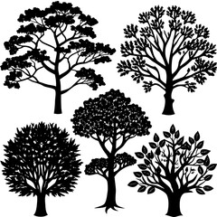 Obraz premium Collection of Tree Silhouettes – Vector Illustration Set