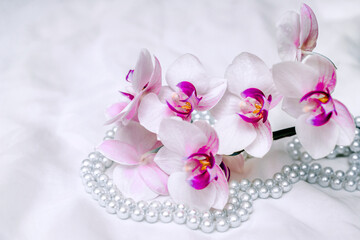 Plakat The branch of white orchids on white fabric background 