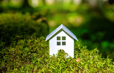the symbol of the house stands on green moss
