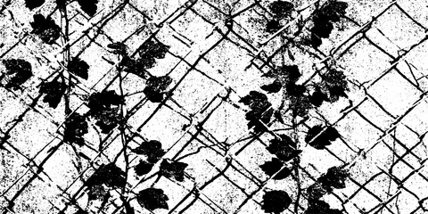 Obraz premium Rustic chain link fence with climbing leaves silhouette for vintage design