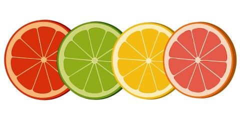 citrus fruits vector illustration