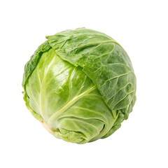 A single large, fresh, and leafy green cabbage, a healthy cruciferous vegetable, isolated on a transparent background png