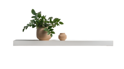 A white shelf with a plant in a pot and a small vase against a black background in a studio shot
