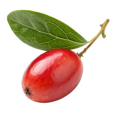 A small, round, single magellan barberry, a dark and sour wild edible fruit, isolated on a transparent background png