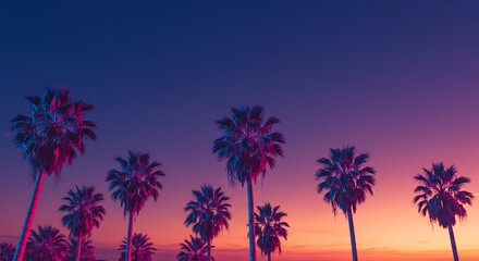 Palm Trees Silhouetted Against Vibrant Sunset Sky with Purple and Orange Hues