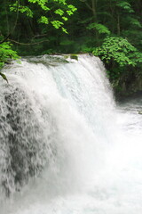 奥入瀬渓流（銚子大滝）