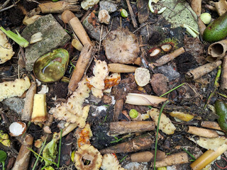 Plant and animal remains, debris