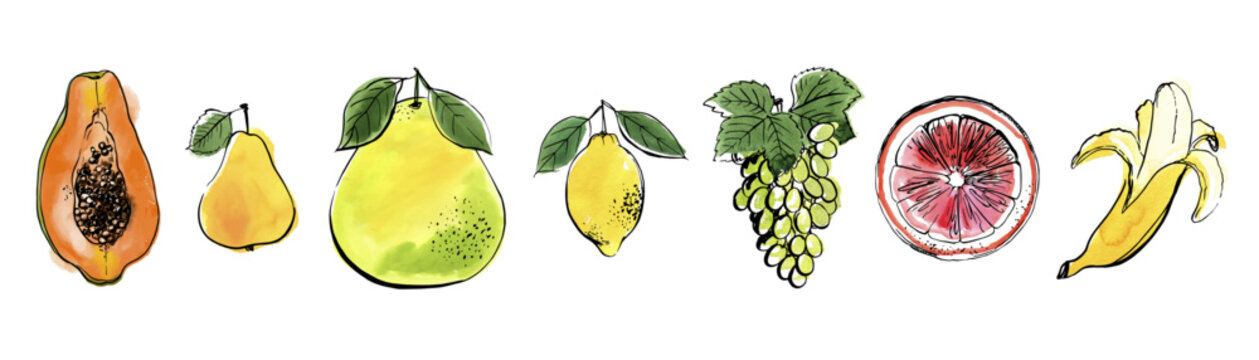 Hand Drawn Watercolor Tropical Fruits &ndash; Vector Illustration